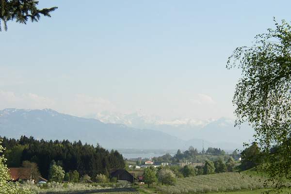 Bodenseeblick