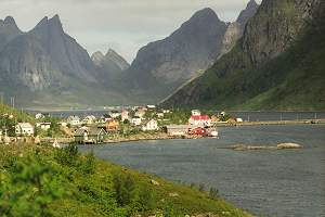 Reine